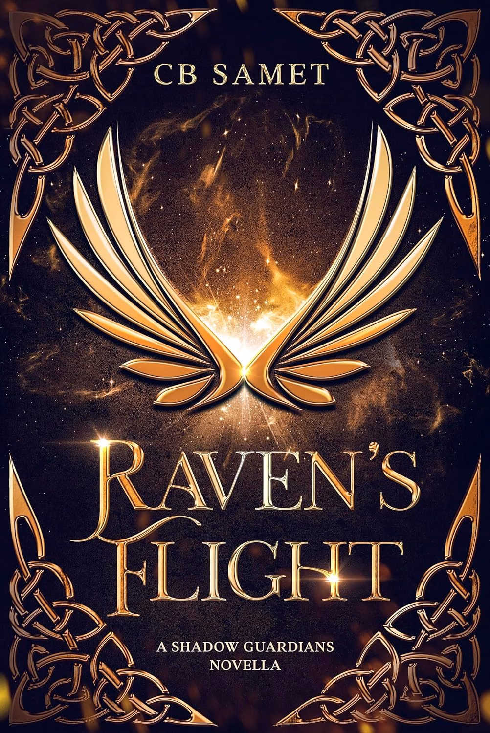 RAVENS FLIGHT by CB SAMET