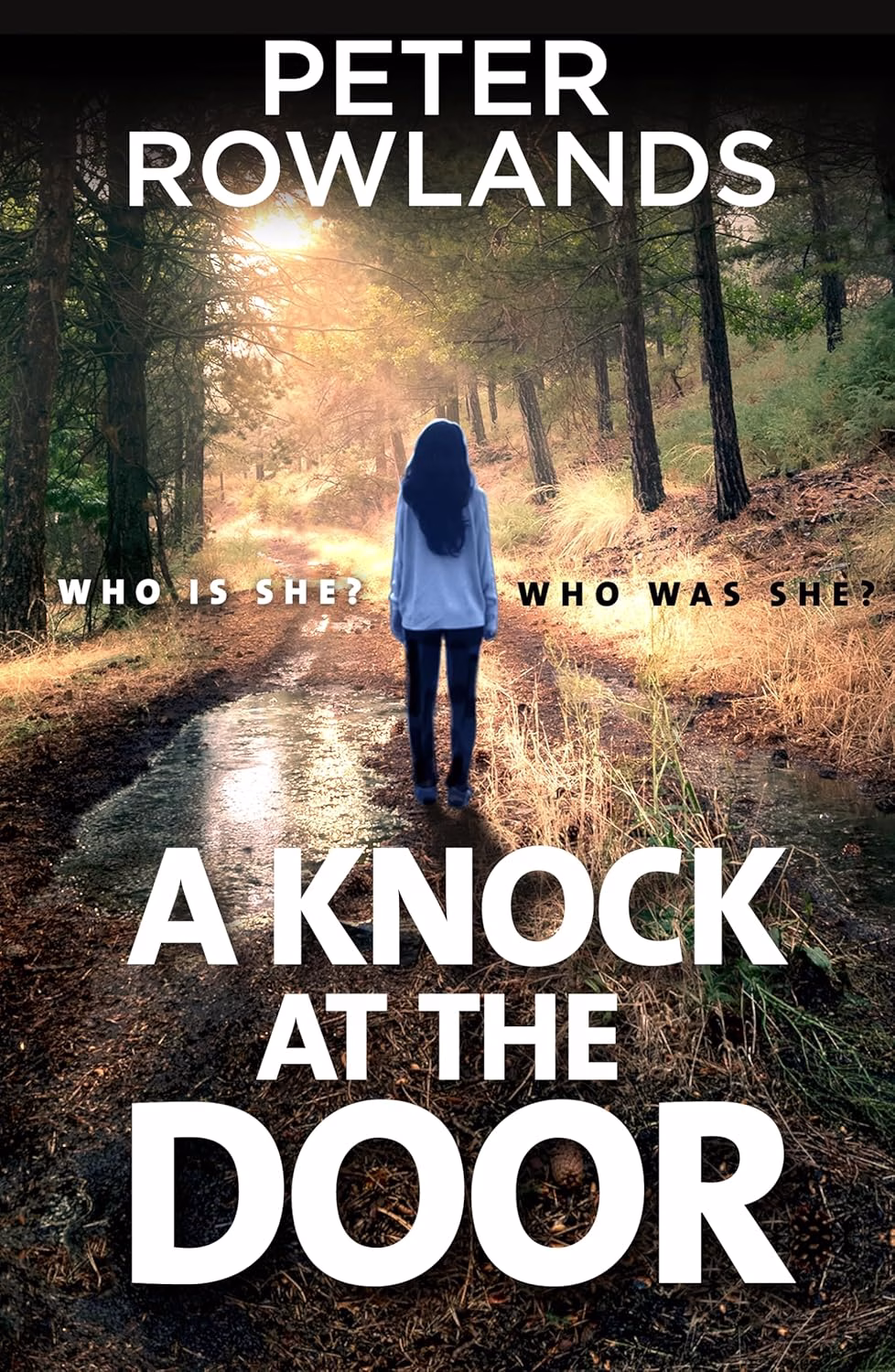 A KNOCK AT THE DOOR by Peter Rowlands