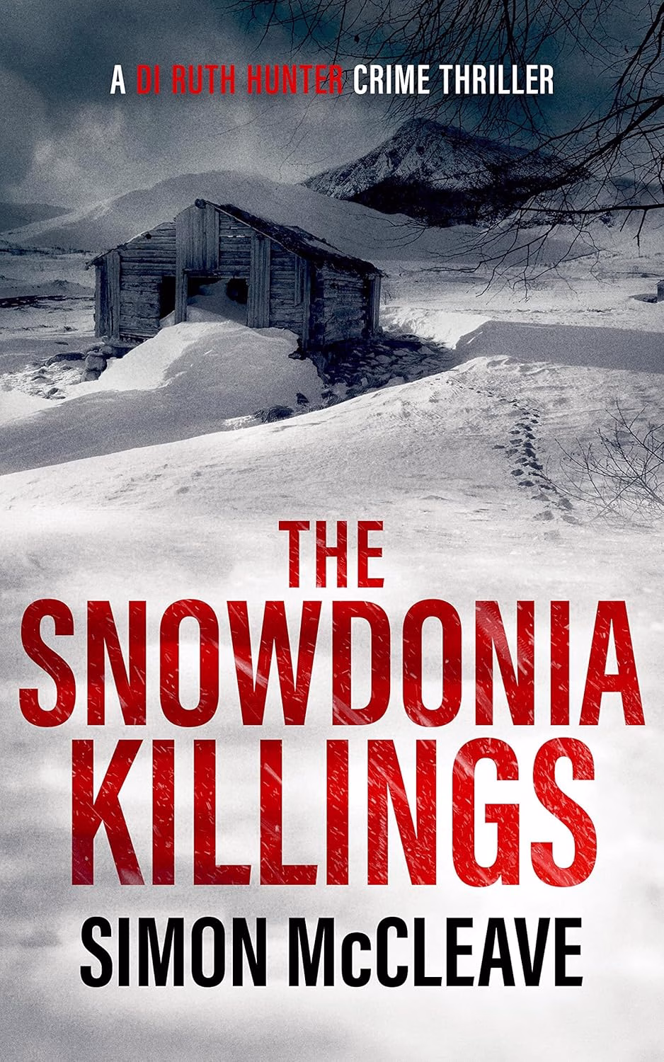 THE SNOWDONIA KILLINGS by Simon McCleave