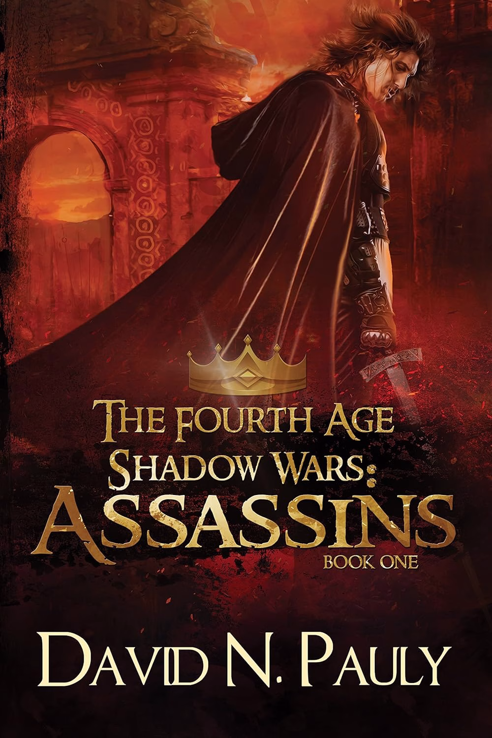 ASSASSINS by David N. Pauly