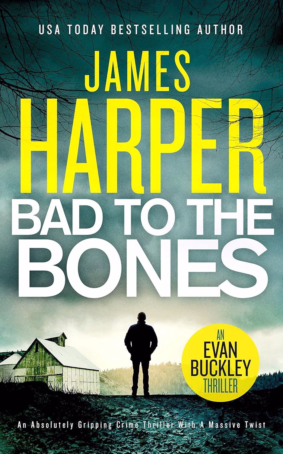 BAD TO THE BONES by James Harper