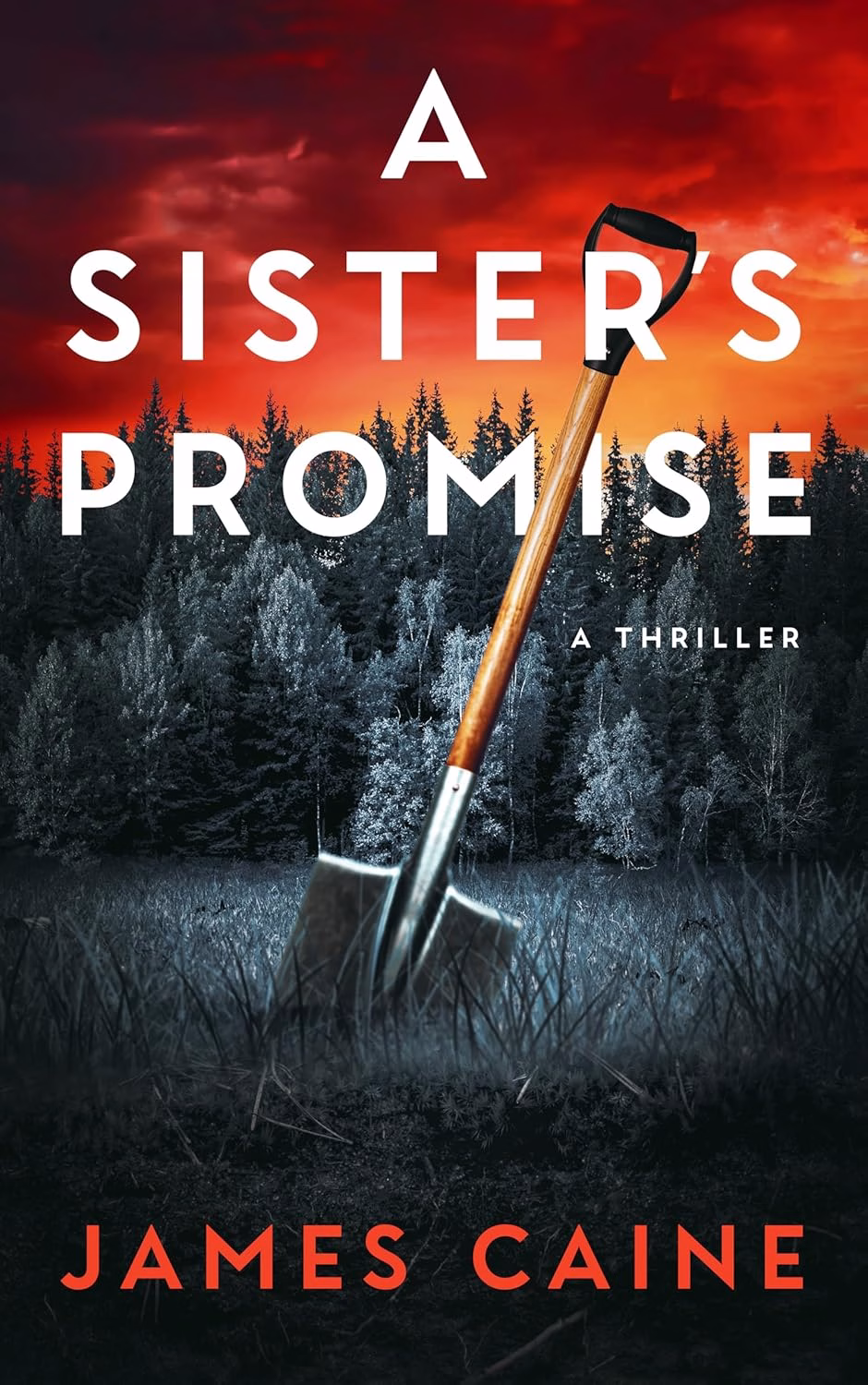 A SISTER'S PROMISE by James Caine