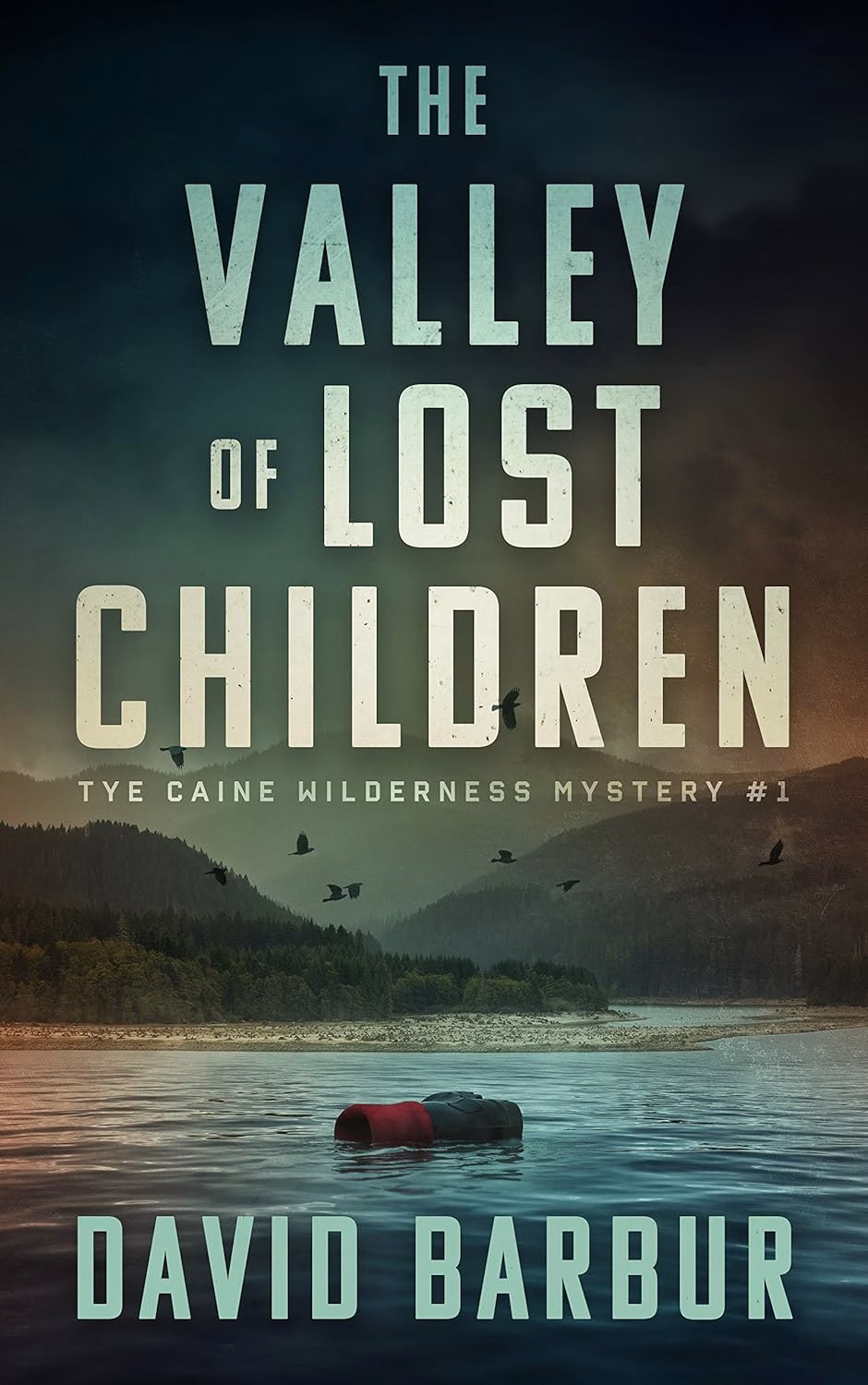 THE VALLEY OF LOST CHILDREN by David Barbur