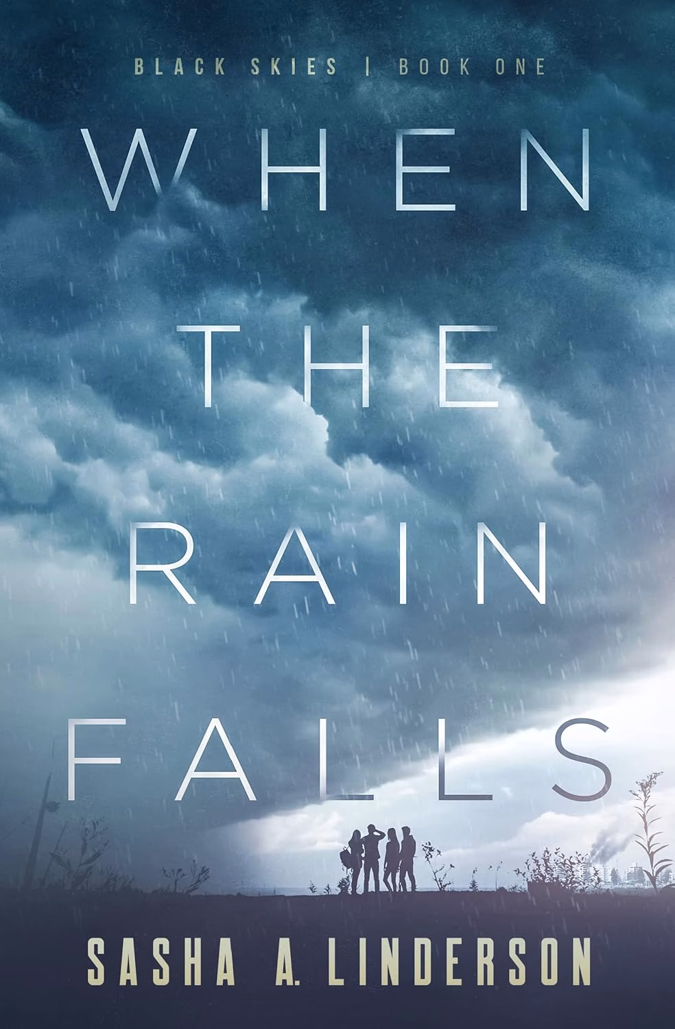 WHEN THE RAIN FALLS by Sasha A. Linderson