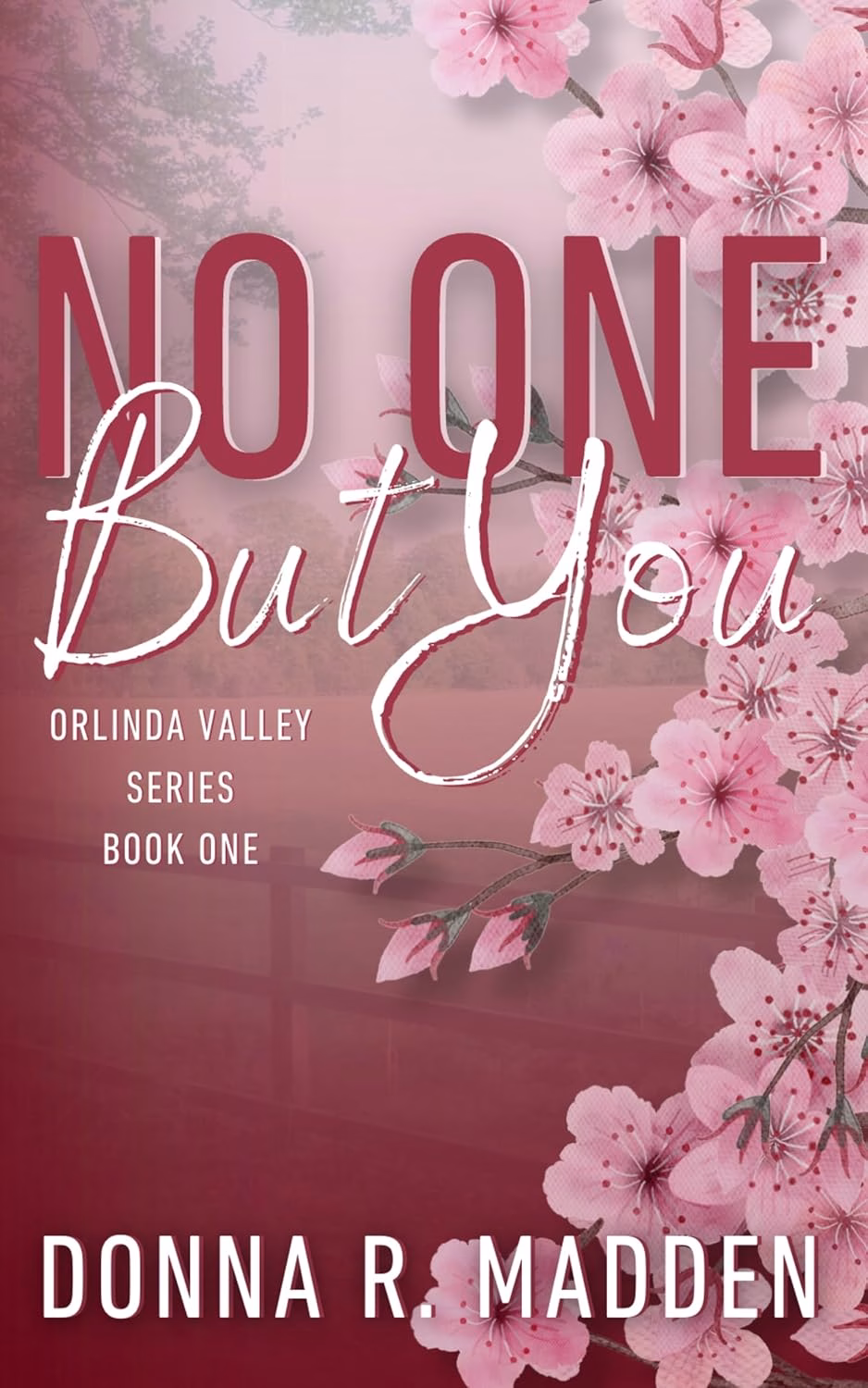 NO ONE BUT YOU by Donna R. Madden