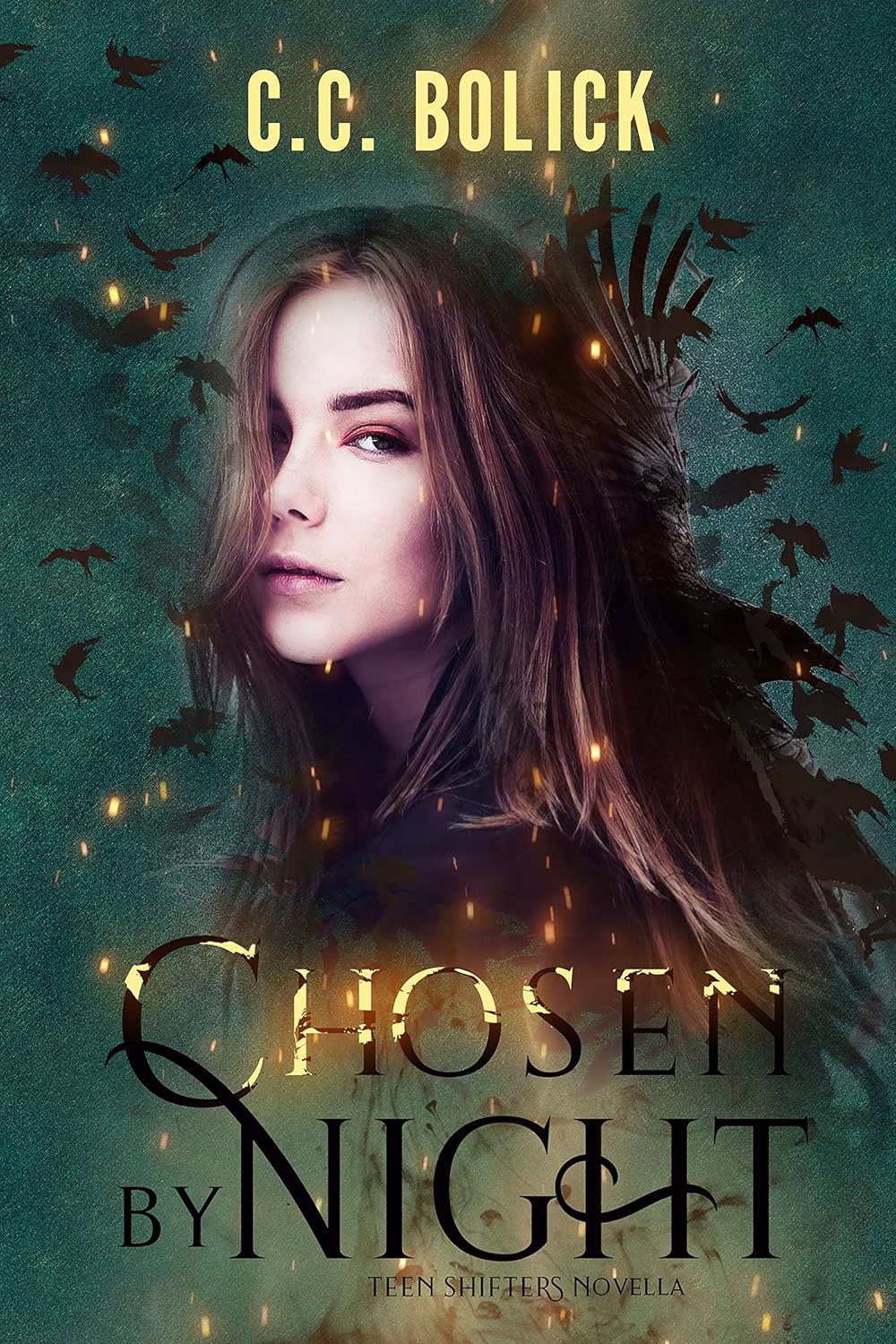 CHOSEN BY NIGHT by C.C. Bolick