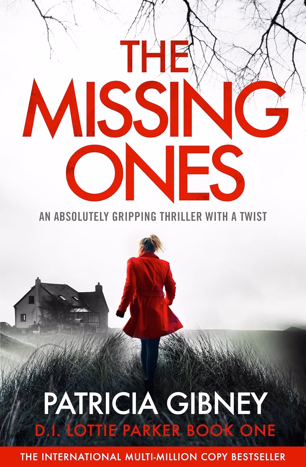 THE MISSING ONES by Patricia Gibney