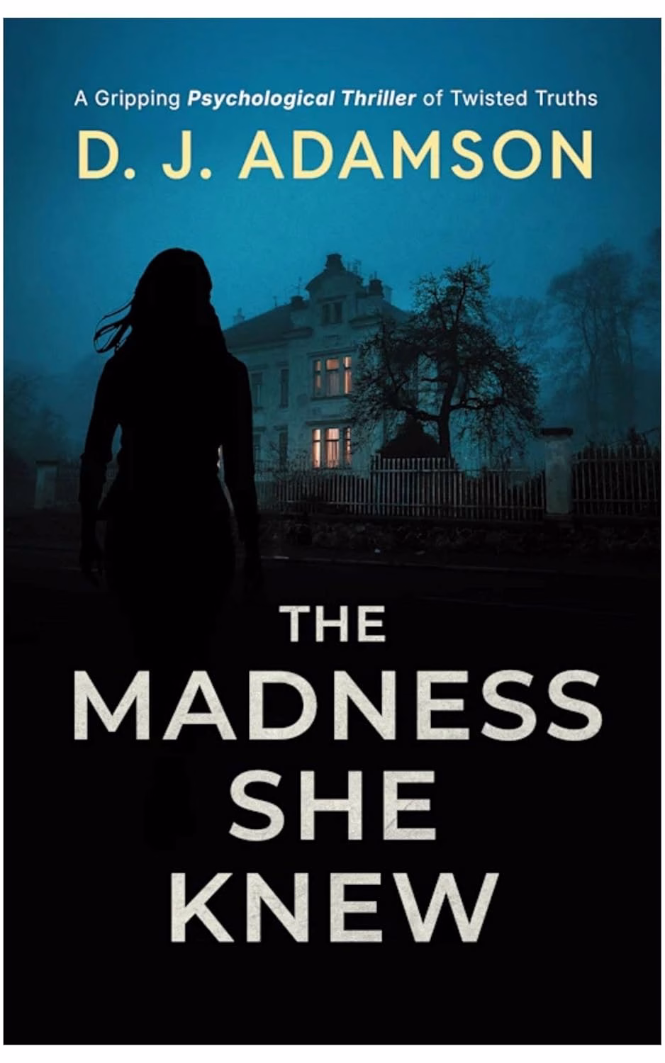 THE MADNESS SHE KNEW by D.J. Adamson